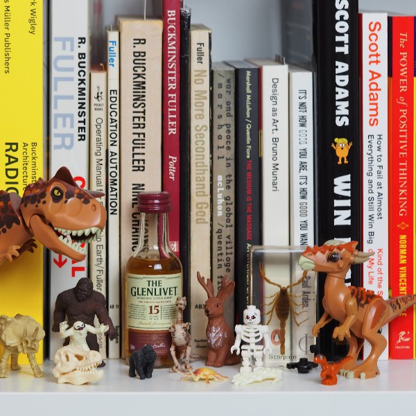 Bookshelf3