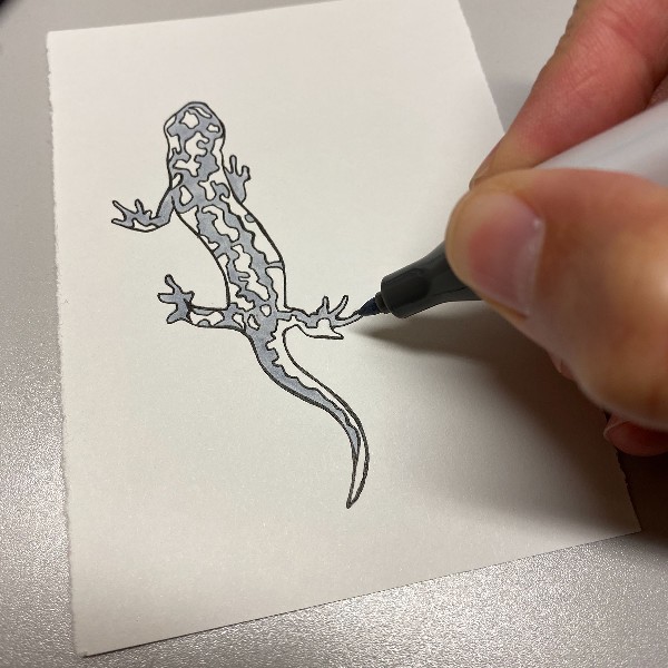 Illustration07