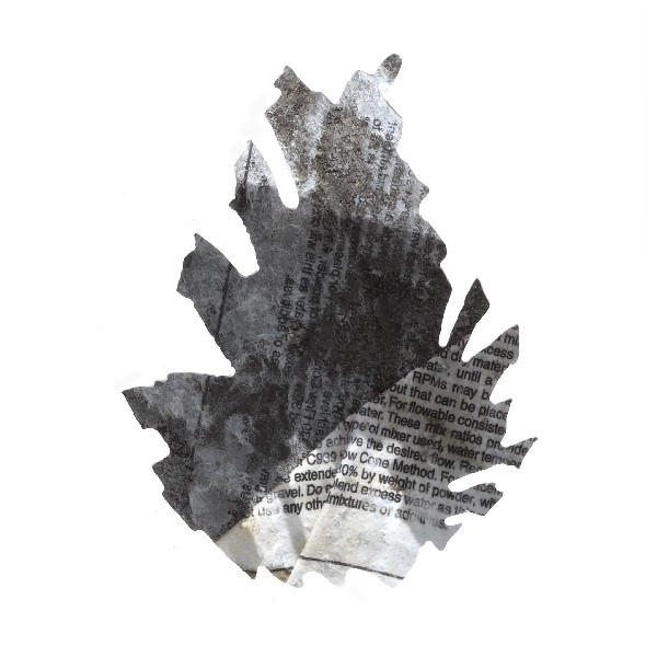 Pinecone 11