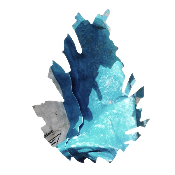 Pinecone 14