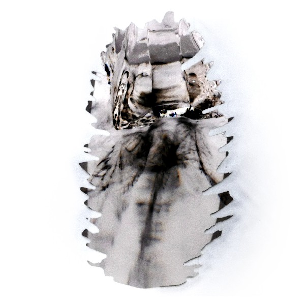 Pinecone 16