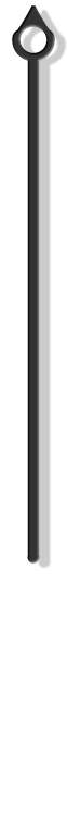 Needle