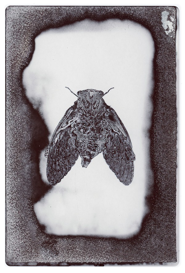 10c