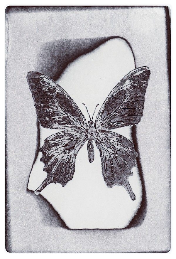 12b