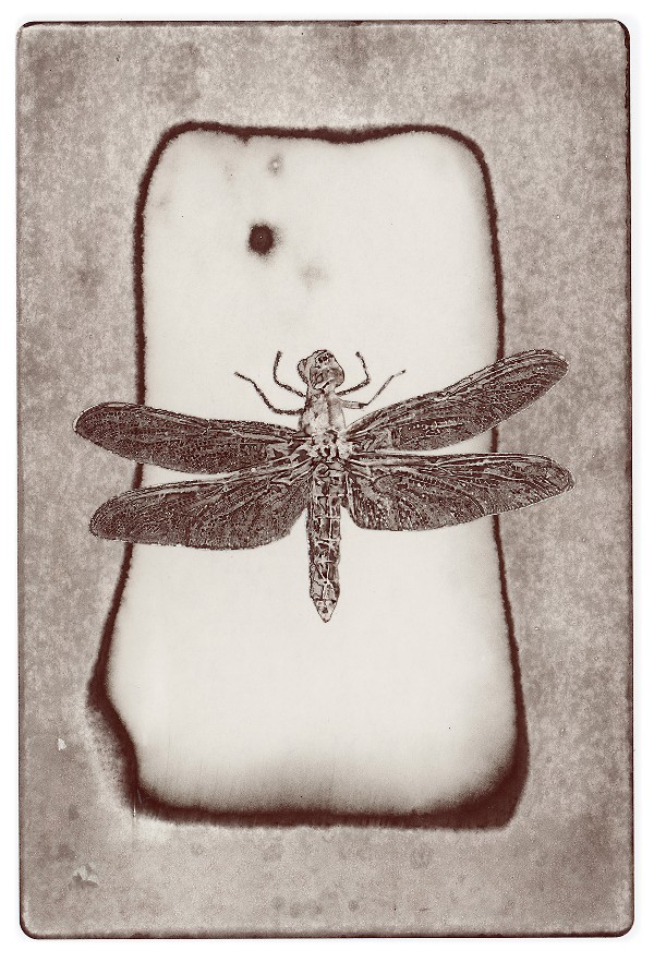 12d