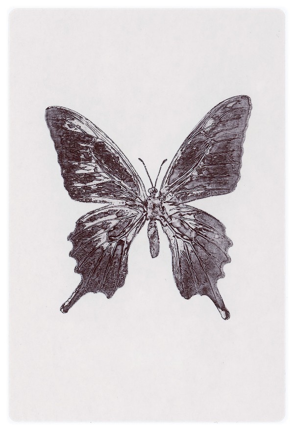 15b