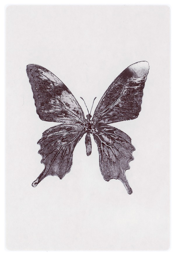 16b