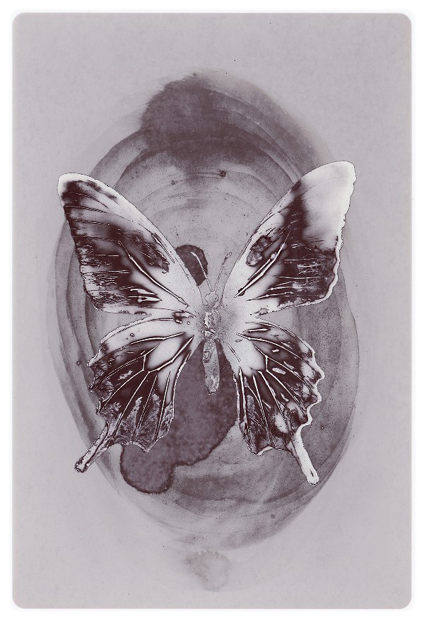 19b