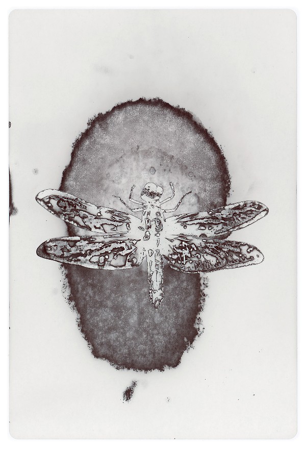22d