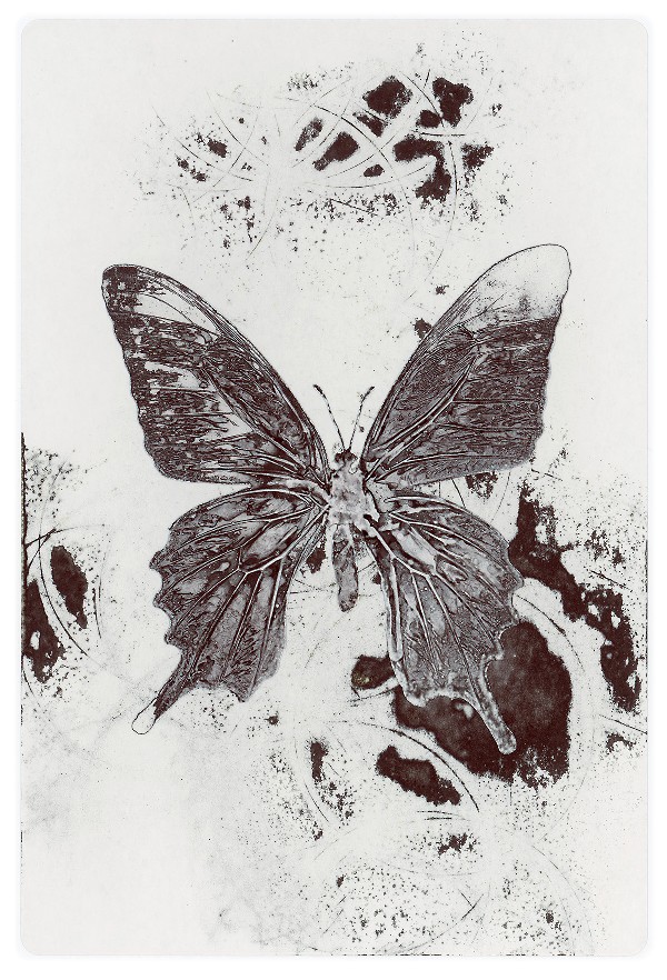 26b