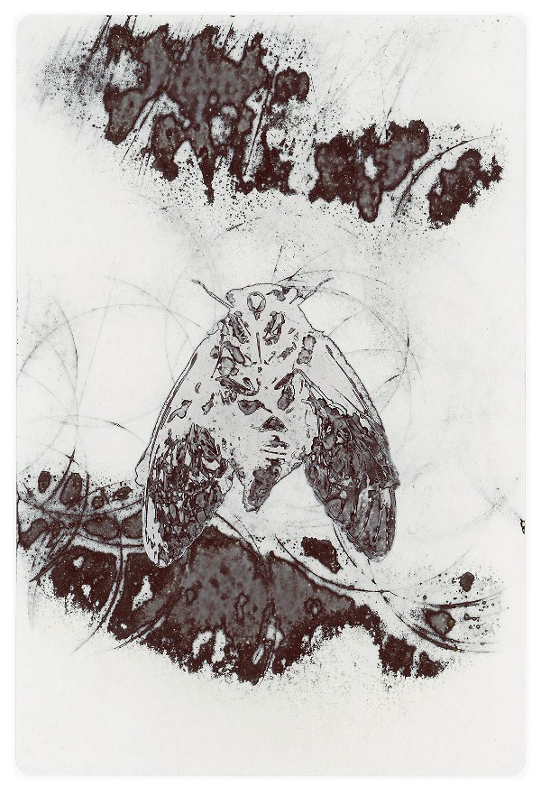26c
