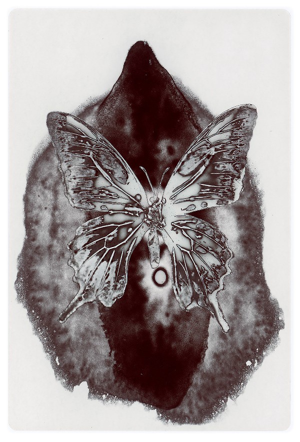 27b