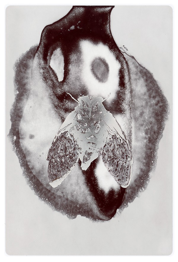 27c