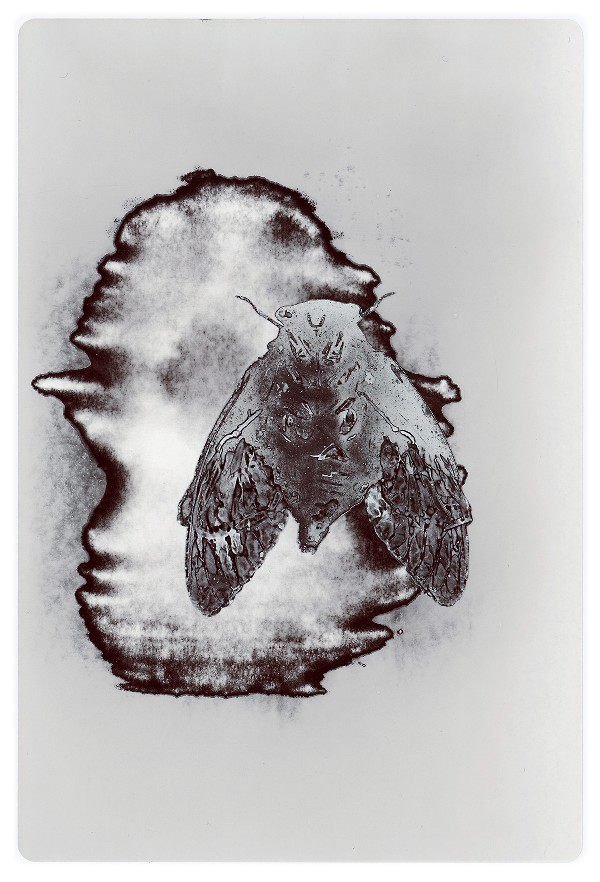 2c