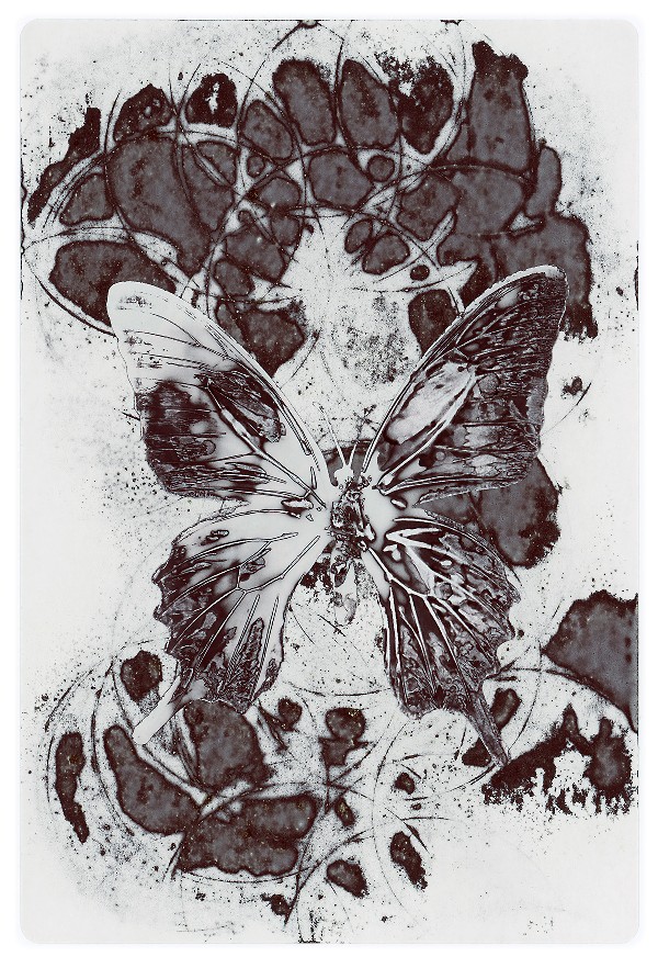 31b