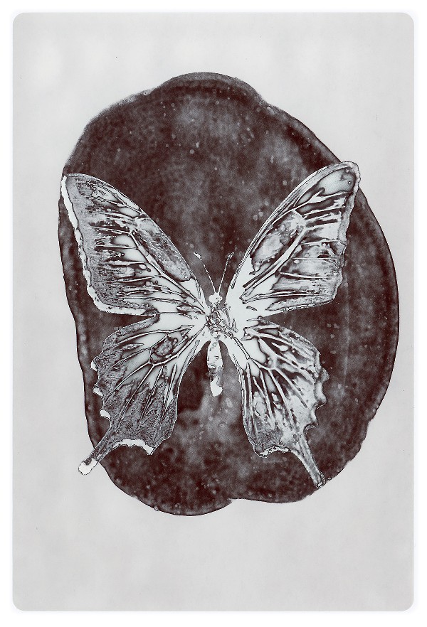 32b