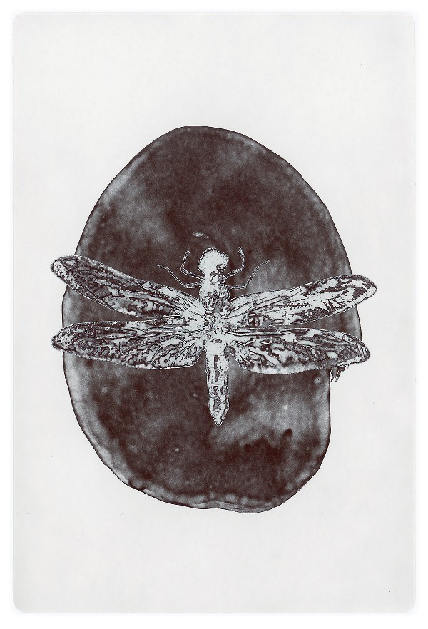32d