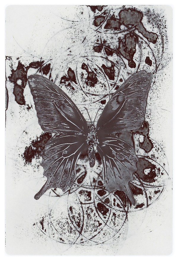 35b