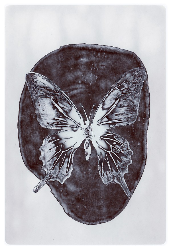 36b