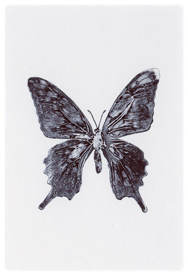 37b