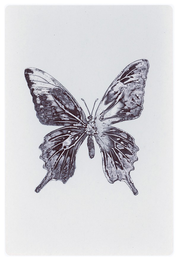 38b