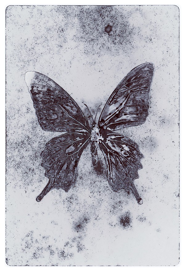 40b