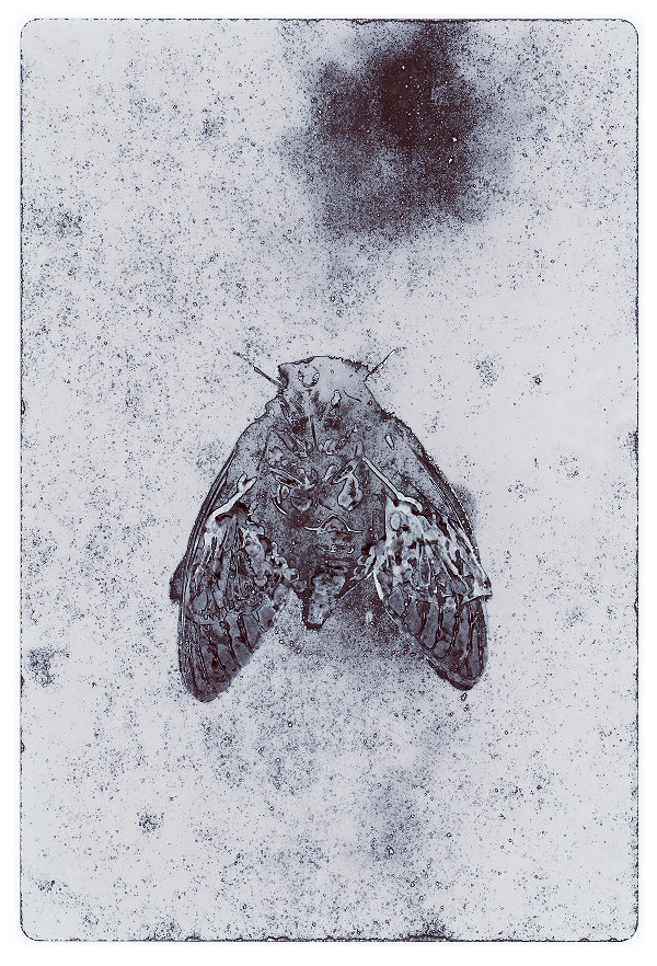 40c