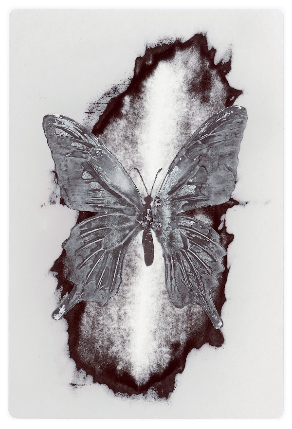 45b