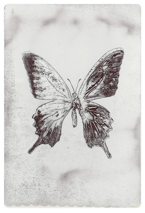 49b