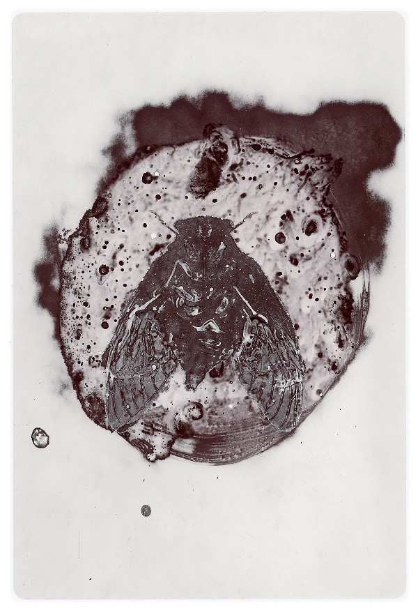 50c