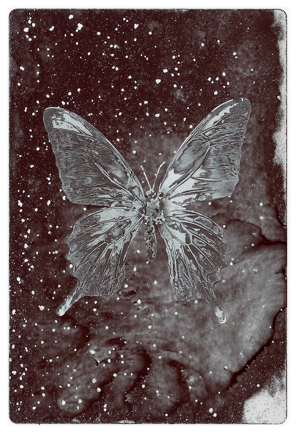 55b