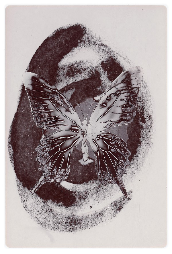 56b