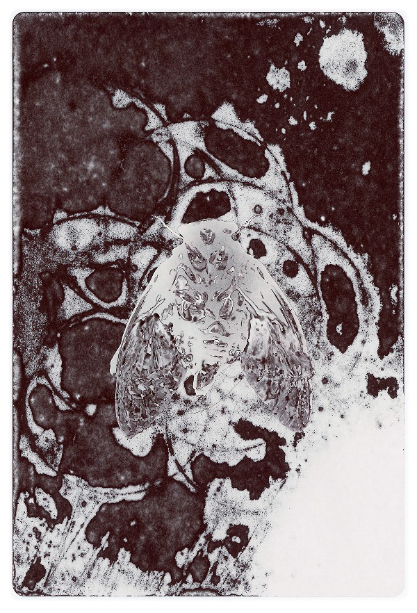57c