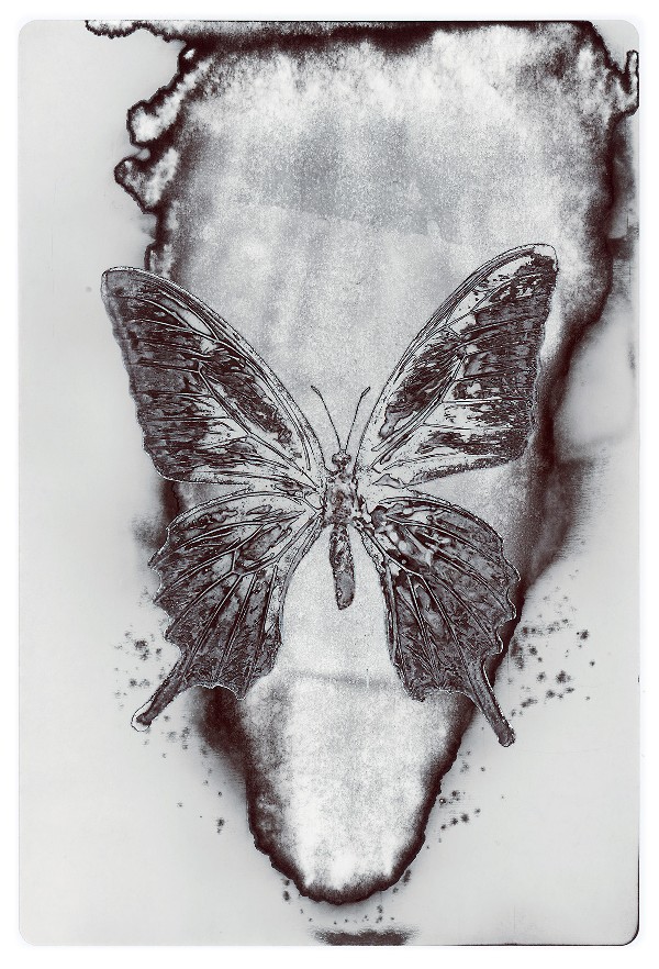 5b