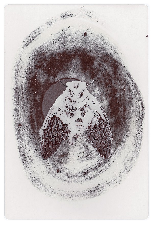 67c