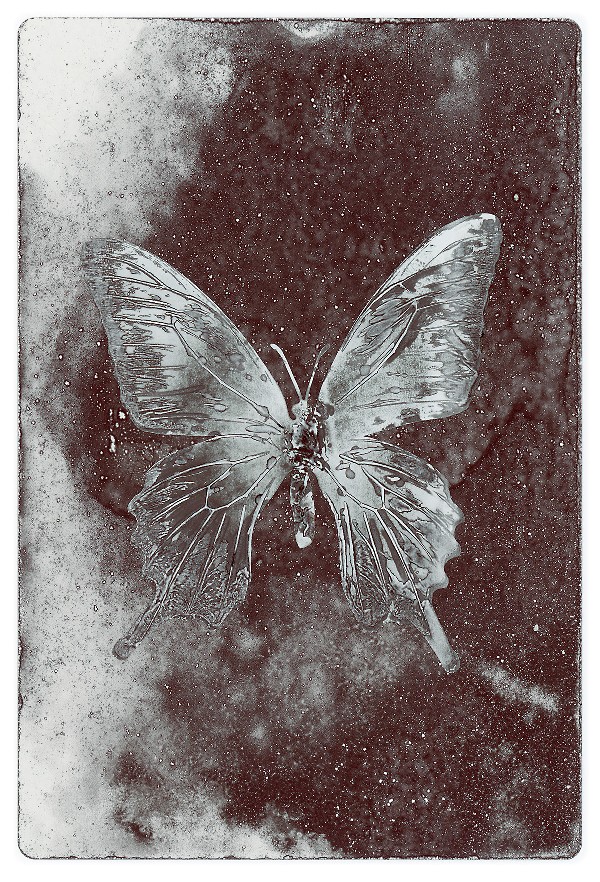 6b