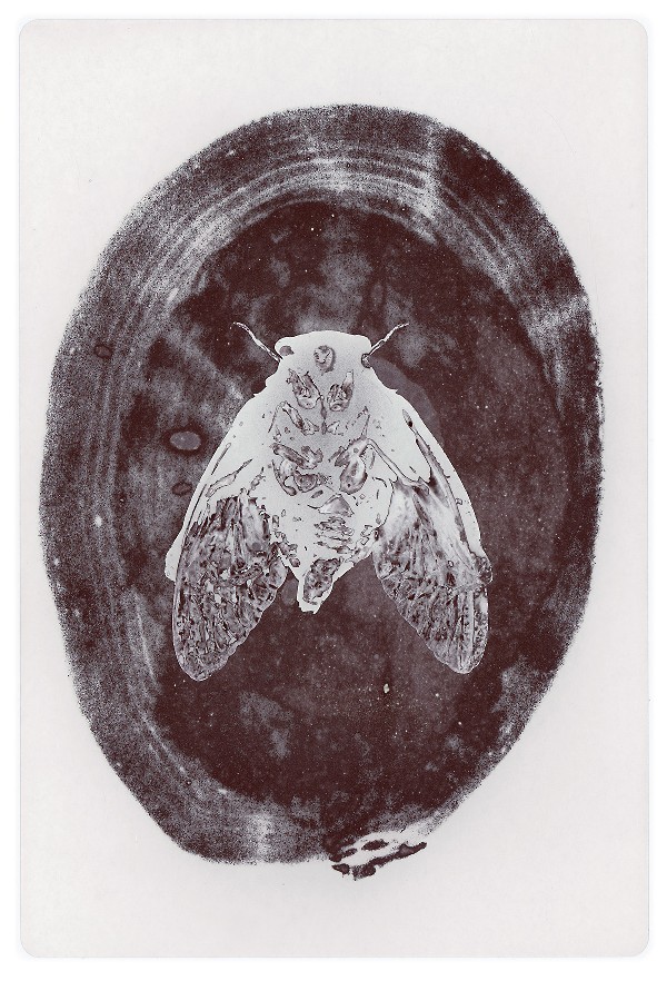 70c