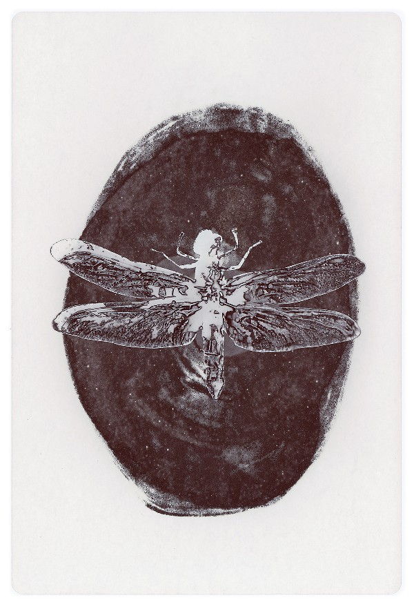 70d