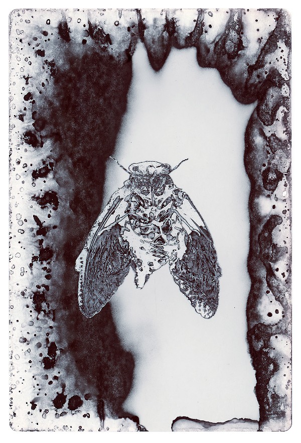75c